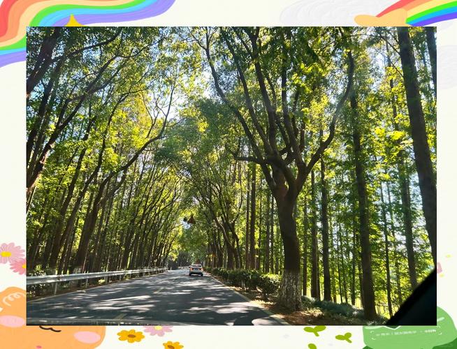 上海周末休闲去哪里 本地人最爱的慢生活指南