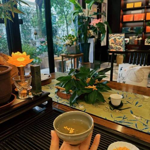 上海品茶哪里好 推荐几个私藏好去处