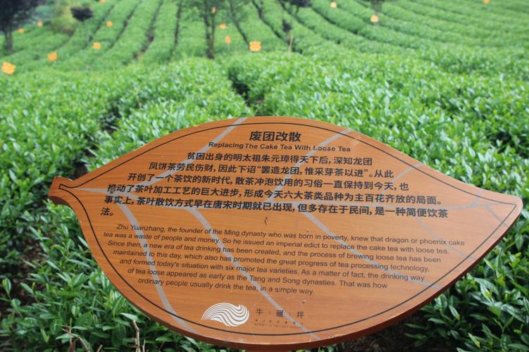 上海品茶地方_上海品茶推荐_上海喝茶品茶