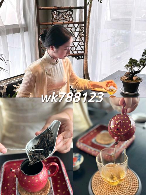 上海品茶体验馆地址_品茶上海_上海品茶体验