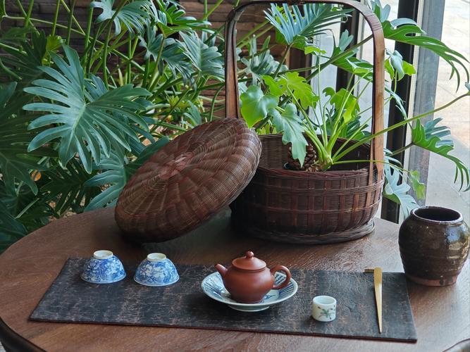 上海哪里有服务好的品茶_上海品茶客户网站_上海品茶怎么联系