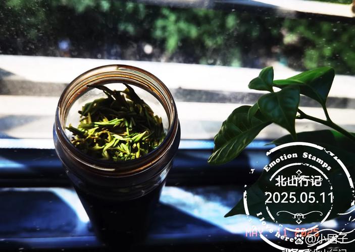 上海品茶哪里去 一篇讲透喝茶门道